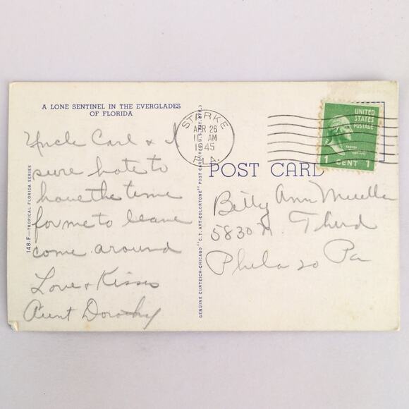 A Lone Sentinel Everglades of Florida 1940s Linen Postcard FL 1945 PC Starke - Picture 2 of 2